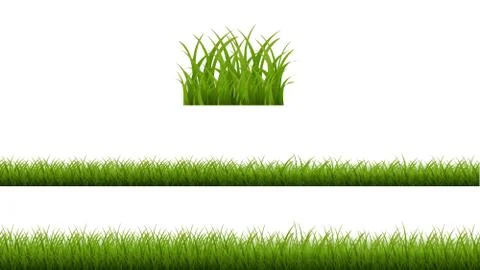 Green Grass Isolated White Background Stock Illustration