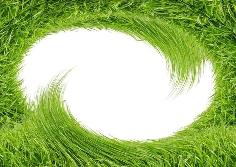 Green grass isolated on white background Green grass isolated on white bac... Stock Photos