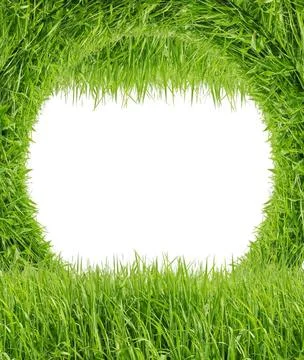 Green grass isolated on white background Green grass isolated on white bac... Stock Photos