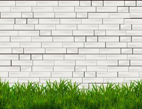 Green Grass Isolated on white Brick Wall  Background. Stock Illustration