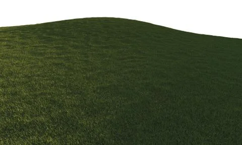 Green grass isolated on white イラスト素材