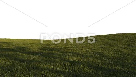 Green grass isolated on white Stock Illustration