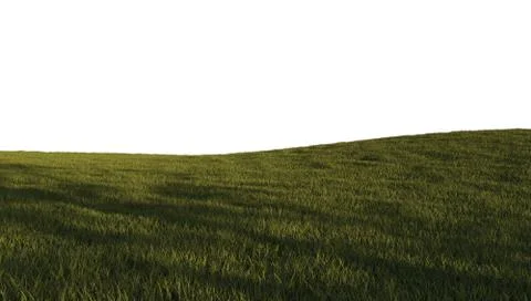 Green grass isolated on white Stock Illustration