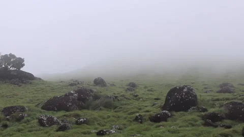 Green grass land in the hillside Stock Footage 159151400