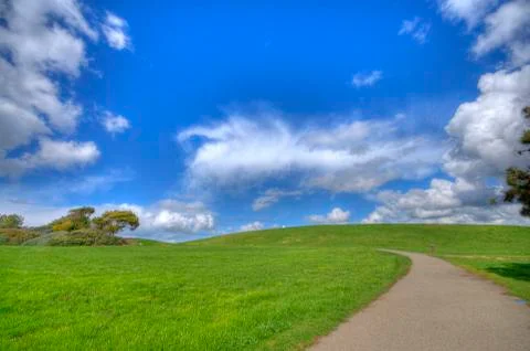 Green grass landscape with path Stock Photos