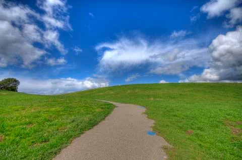 Green grass landscape Stock Photos