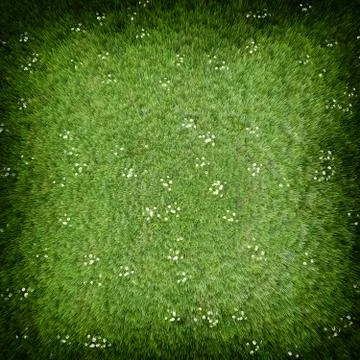 Green grass lawn Stock Illustration
