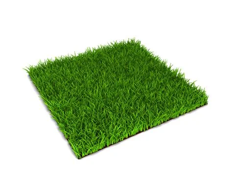 Green grass lawn Stock Illustration