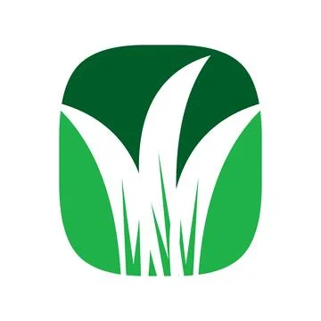 Green Grass Leaf Logo Icon Stock Illustration