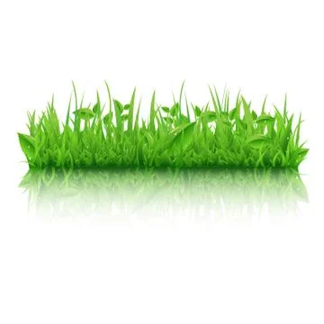 Green grass with leafs Stock Illustration