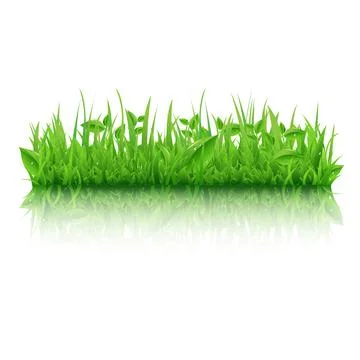 Green Grass With Leafs Stock Illustration