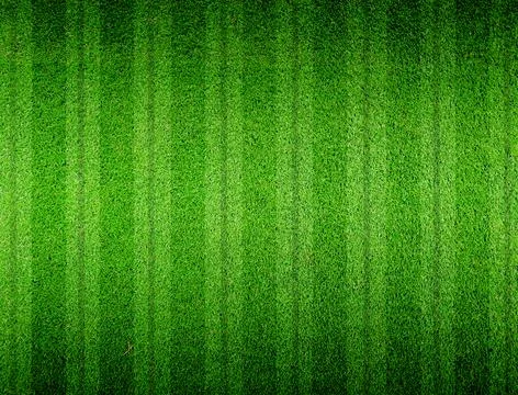 Green grass lined Stock Photos