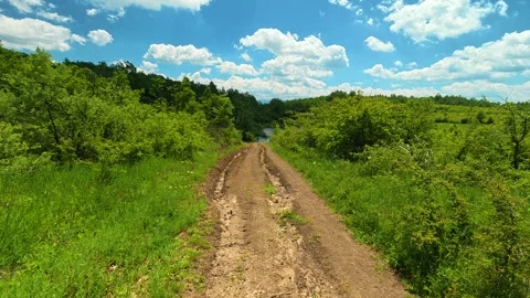 Green grass lines a dirt path through forested hills. Vrmdza Lake, Serbia Stock Footage 338024766