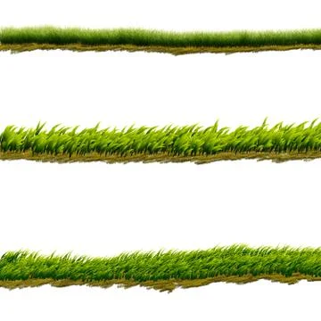 Green grass lines Stock Illustration