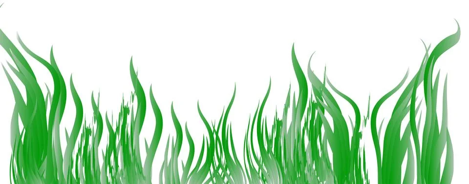 Green grass that is longitudinal to be used as a design element isolated fr.. Stock Illustration