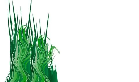 Green grass that is longitudinal to be used as a design element isolated fr.. Illustrazione stock