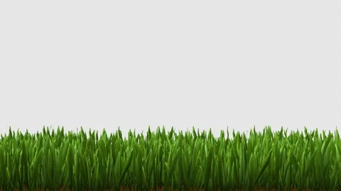 Green Grass Loop With Alpha Channel Stock Footage 346740569