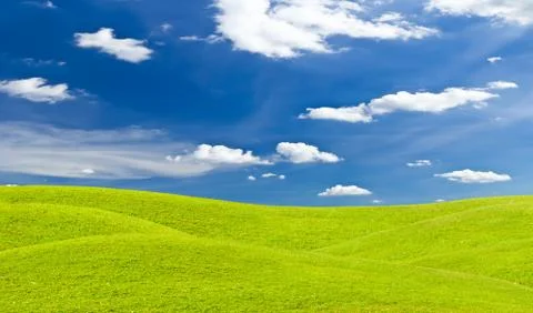 Green grass meadow and blue sky Stock Photos