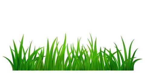 Green grass meadow border Illustrazione stock