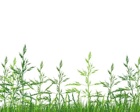 Green Grass Meadow Illustrazione stock