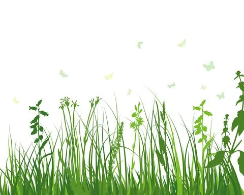 Green Grass Meadow Stock Illustration