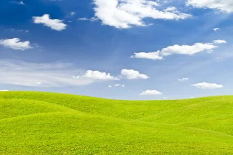 Green grass meadow Stock Photos