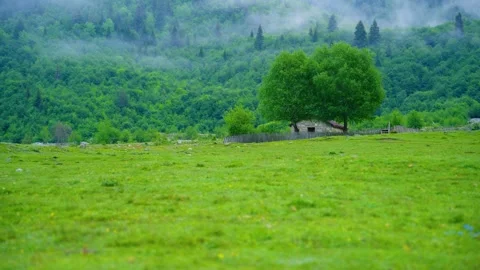 Green grass meadows and stone brick huts in a quiet valley Stock Footage 314640477