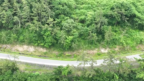 Green grass in the mountain Stock Footage 310152632