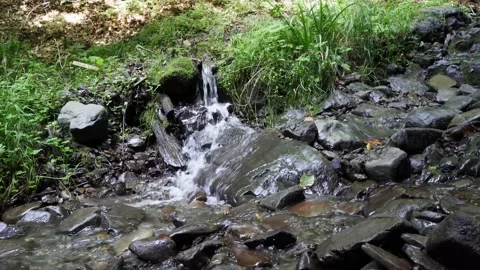Green grass Mountain stream flows down to the stone 4 k Stock Footage 138869141