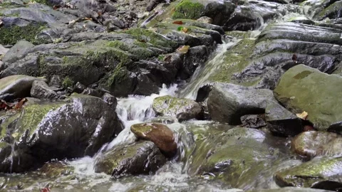 Green grass Mountain stream flows down a rock in the Carpathians 4 k Stockbeeldmateriaal 138869462