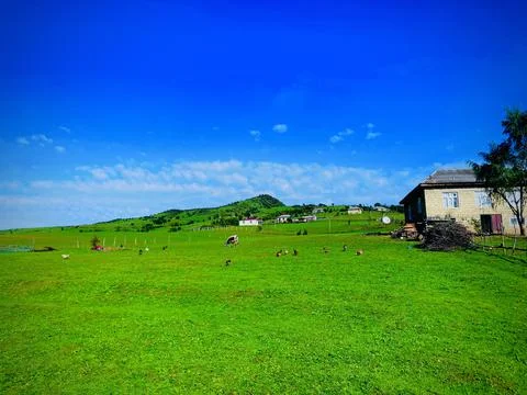 Green grass &amp; mountains Foto stock