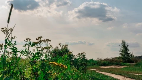 Green grass moving against a background of moving clouds. time lapse Stock Footage 115702564