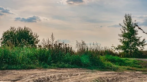 Green grass moving against a background of moving clouds. time lapse Video stock 115702674