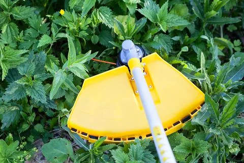 Green grass moving with trimmer, the end of unit with two line spinner 스톡 사진
