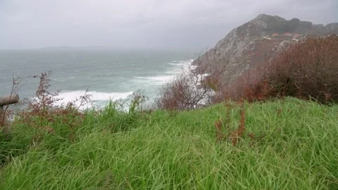 Green grass moving with the wind at the cliff near the ocean 스톡 동영상 263856813