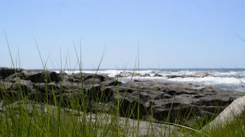 Green grass moving in the wind on rocky beach Stock Footage 48729176