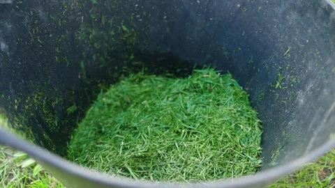 Green grass for mulching with a rubber gloved hand, slow motion Stock Footage 311796919
