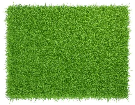 Green grass. natural background texture. fresh spring green grass Stock Illustration