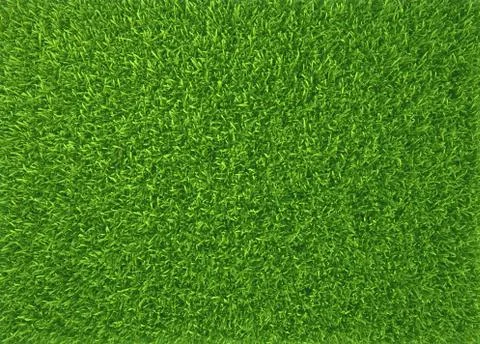 Green grass. natural background texture. fresh spring green grass Stock Illustration