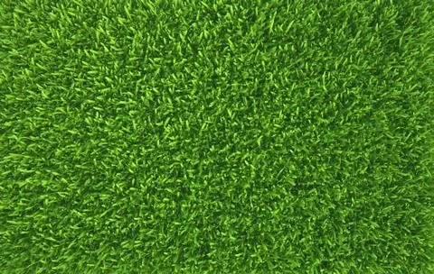 Green grass. natural background texture. fresh spring green grass Stock Illustration