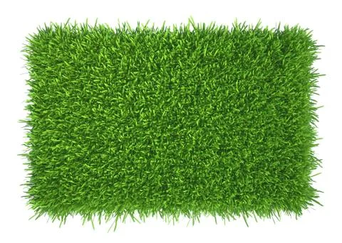 Green grass. natural background texture. fresh spring green grass Stock Illustration