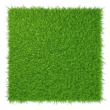 Green grass. natural background texture. fresh spring green grass Stock Illustration
