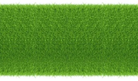 Green grass. natural background texture. fresh spring green grass Stock Illustration