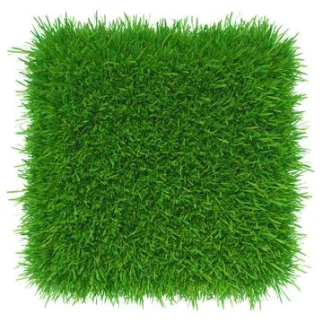 Green grass. natural background texture. Illustrazione stock