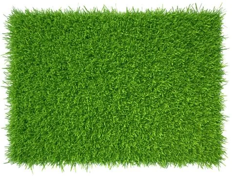Green grass. natural background texture. fresh spring green grass Stock Illustration