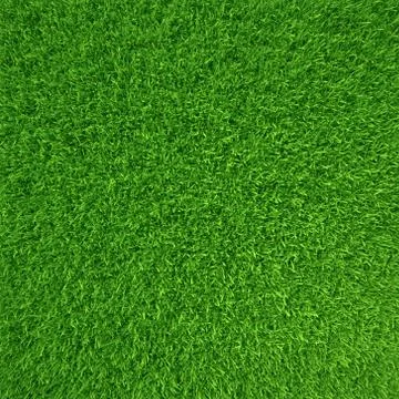 Green grass. natural background texture. Stock Illustration
