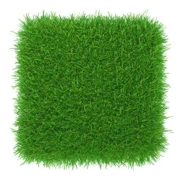 Green grass. natural background texture Illustrazione stock