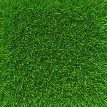 Green grass. natural background texture. Illustrazione stock