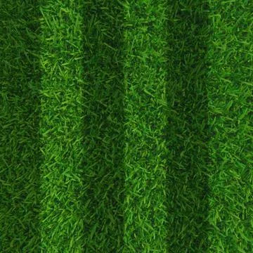 Green grass. natural background texture. 3d rendering Illustrazione stock