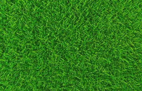 Green grass natural background. Texture spring green grass. Beautiful summer Stock Illustration